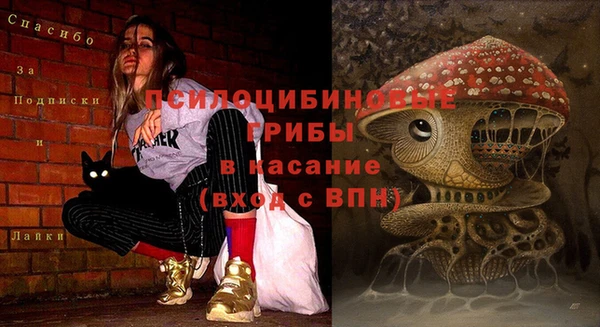 ГАЛЛЮЦИНОГЕННЫЕ ГРИБЫ Переславль-Залесский