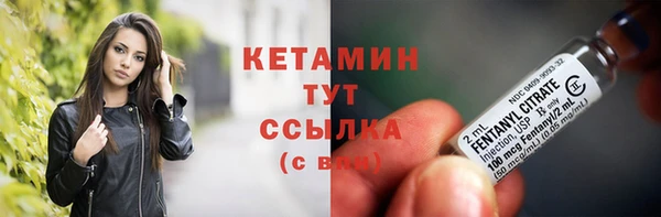 гидра Пересвет