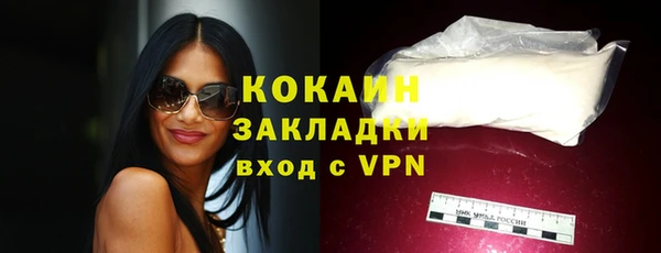 ГАЛЛЮЦИНОГЕННЫЕ ГРИБЫ Переславль-Залесский