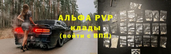 гидра Пересвет