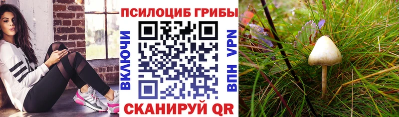Псилоцибиновые грибы Psilocybe  хочу наркоту  Тарко-Сале 
